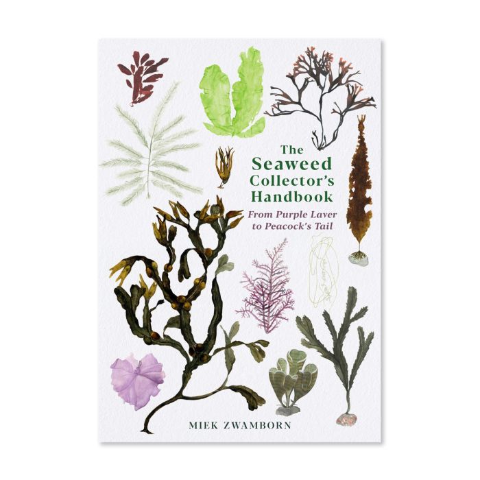 Seaweed names deals